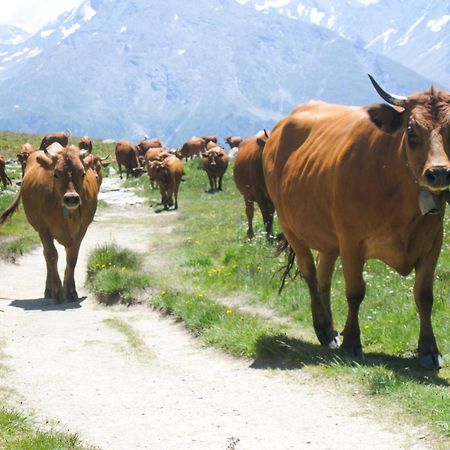 Aux Portes Du Parc National De La Vanoise Appartement Termignon Val Cenis Avec Wifi 외부 사진