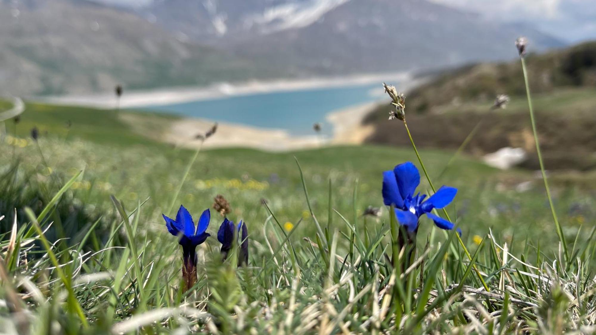 Aux Portes Du Parc National De La Vanoise Appartement Termignon Val Cenis Avec Wifi 외부 사진