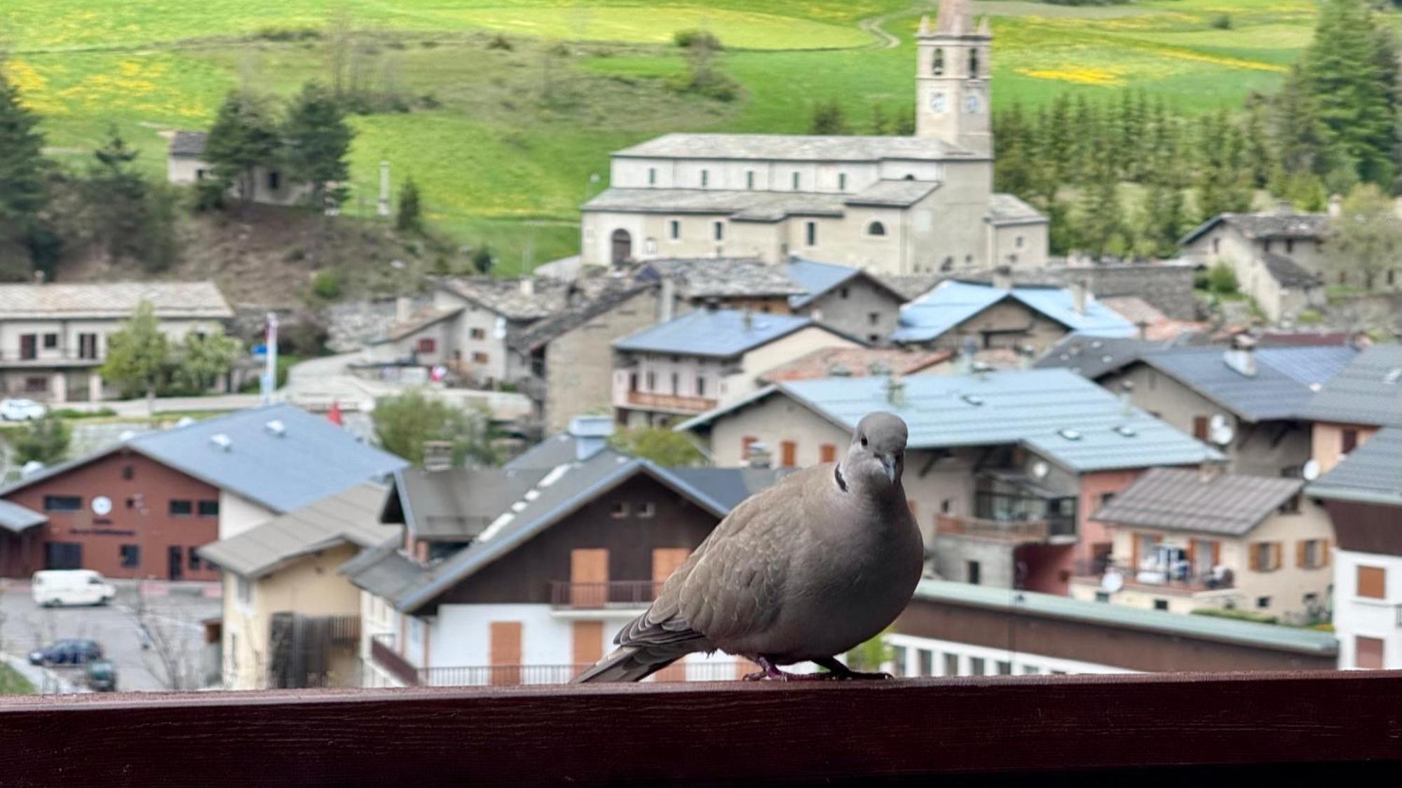 Aux Portes Du Parc National De La Vanoise Appartement Termignon Val Cenis Avec Wifi 외부 사진